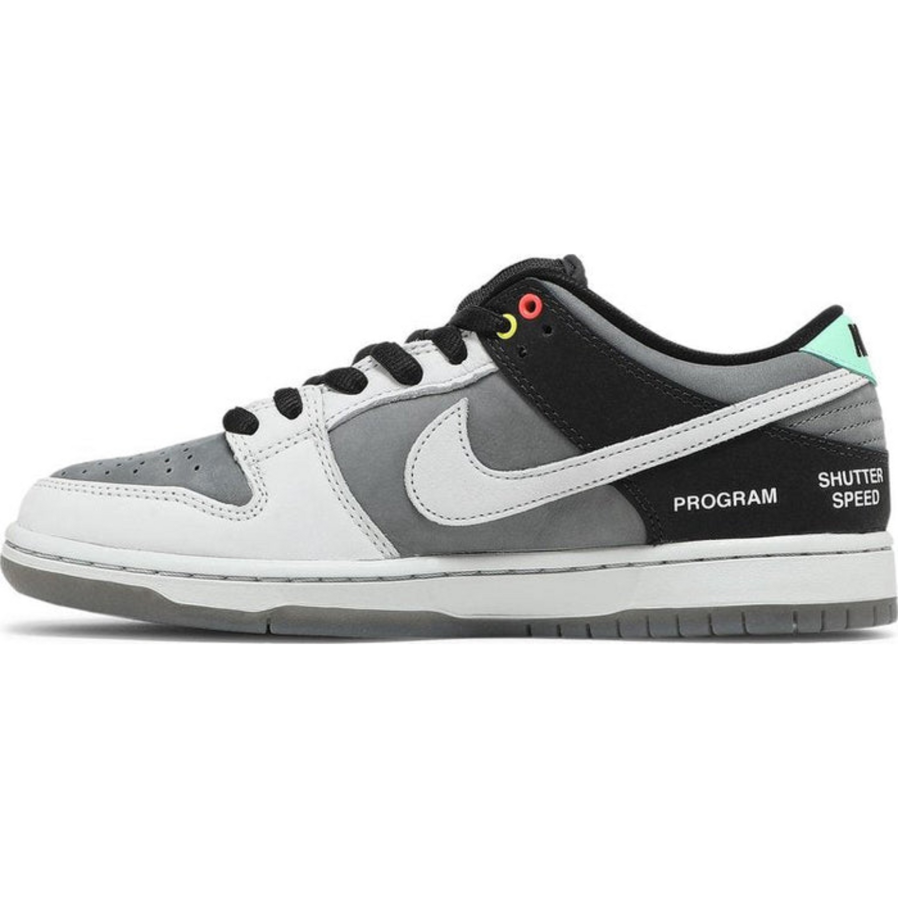 Nike Dunk Low SB 'Camcorder'