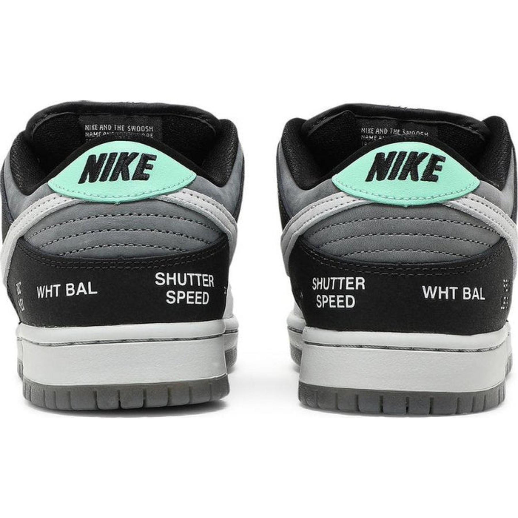 Nike Dunk Low SB 'Camcorder'