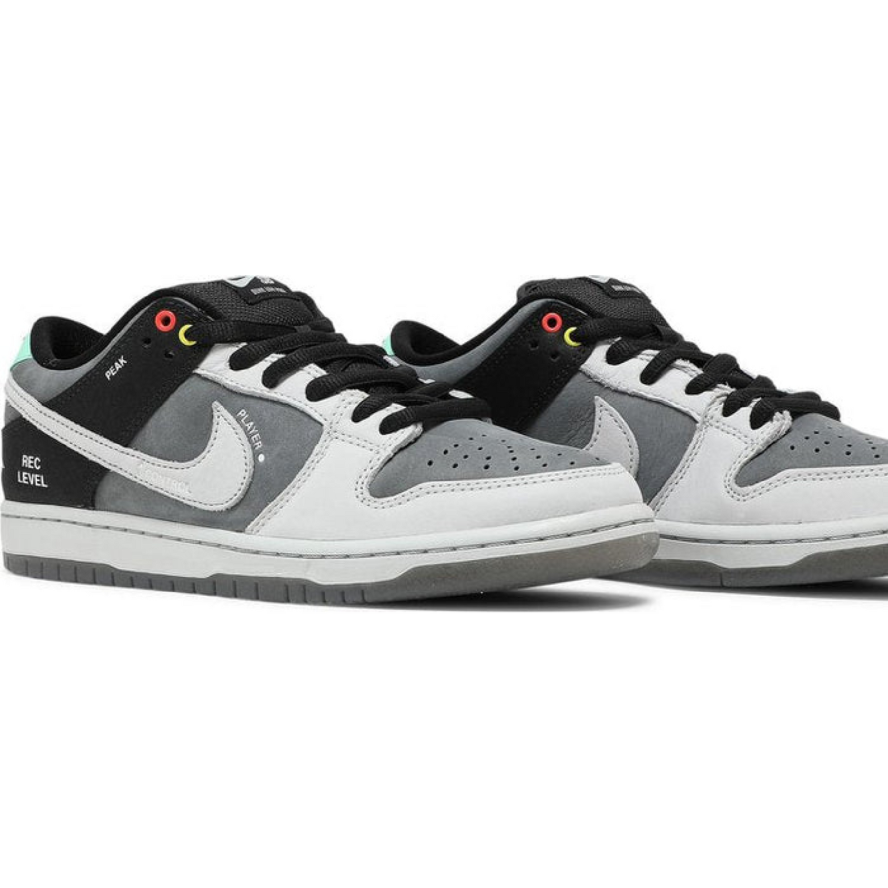 Nike Dunk Low SB 'Camcorder'